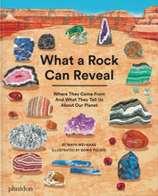 Load image into Gallery viewer, What a Rock Can Reveal
