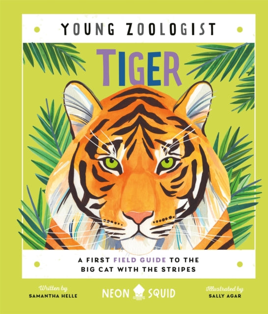 Tiger (Young Zoologist) : A First Field Guide to the Big Cat with the Stripes
