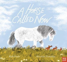 Load image into Gallery viewer, A Horse Called Now
