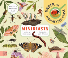 Load image into Gallery viewer, Minibeasts: Under the Magnifying Glass
