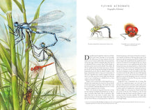 Load image into Gallery viewer, Insectopia
