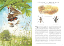 Load image into Gallery viewer, Insectopia
