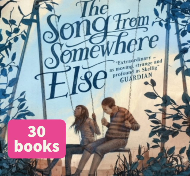 The Song from Somewhere Else (30)