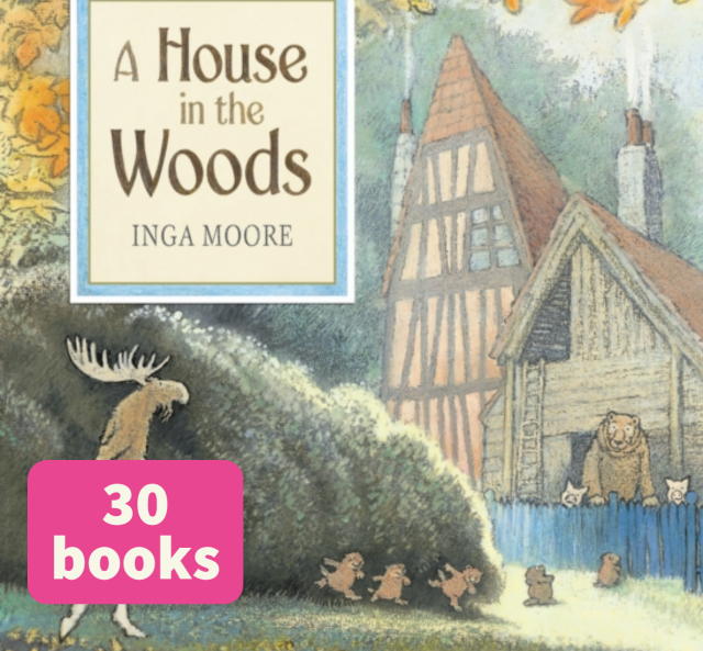 A House in the Woods: class set
