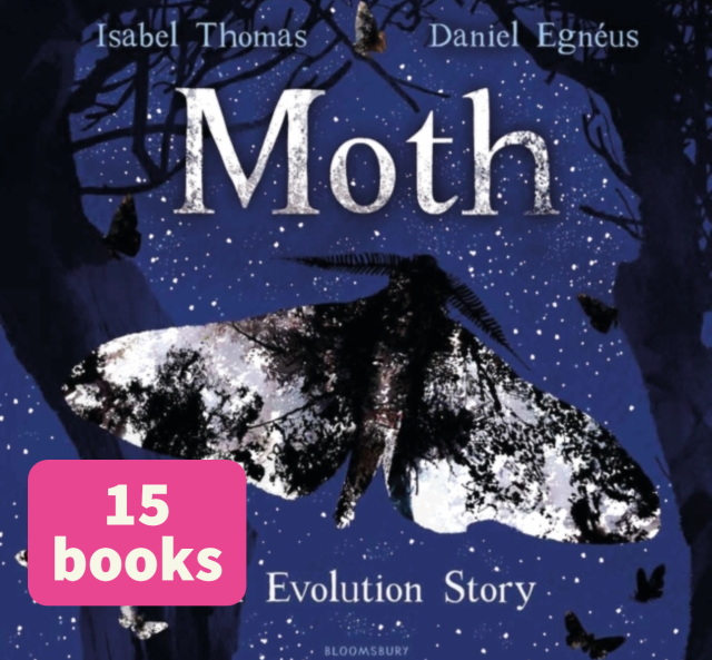 Moth (15)