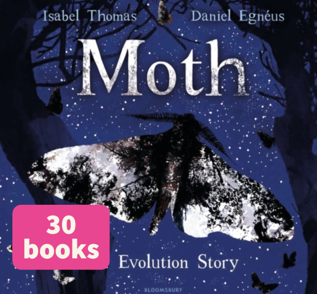 Moth (30)