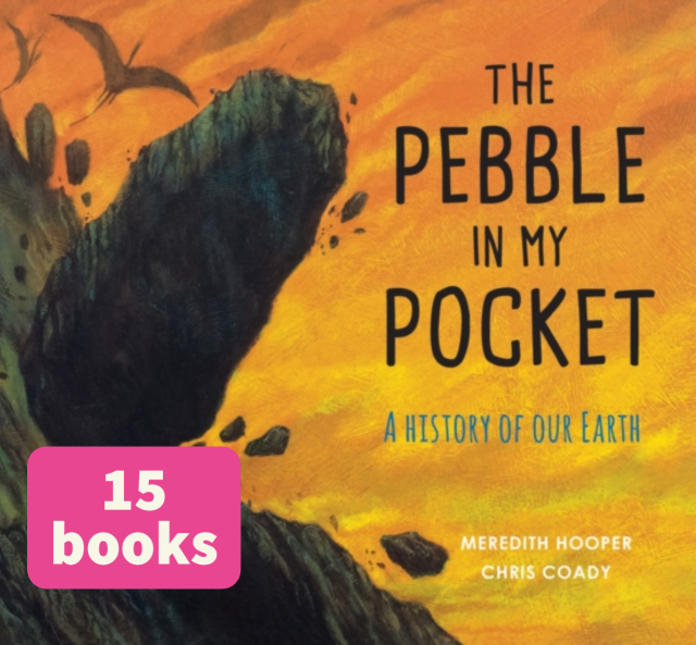The Pebble in My Pocket (15)