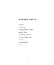 Load image into Gallery viewer, When Poems Fall From the Sky
