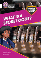 Shinoy and the Chaos Crew: What is a Secret Code?