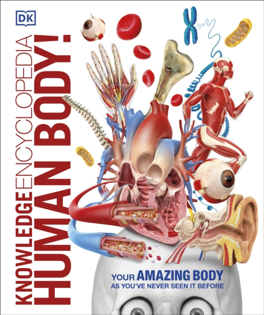 Knowledge Encyclopedia:Human Body
