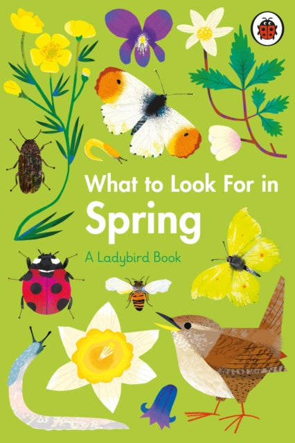 What to Look for In Spring