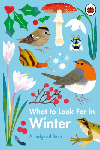 What to look for in Winter