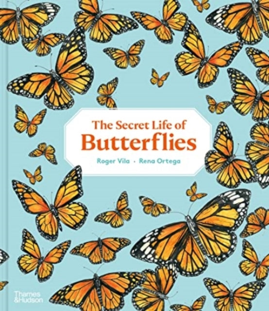 The Secret Life of Butterflies