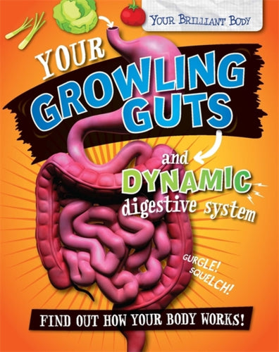Your Growling Guts and Dynamic Digestive System