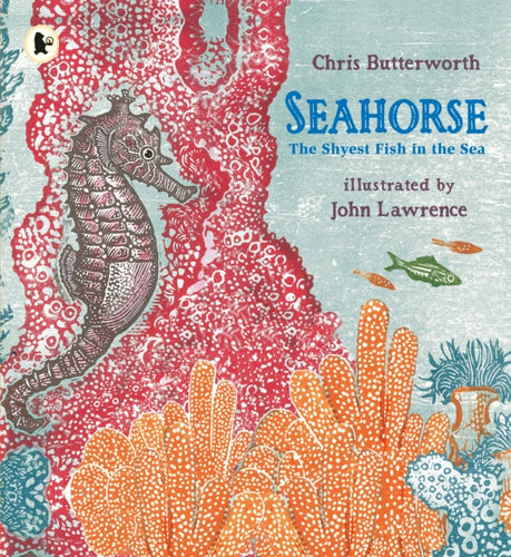 Seahorse The Shyest Fish in the sea