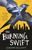 The Burning Swift #3