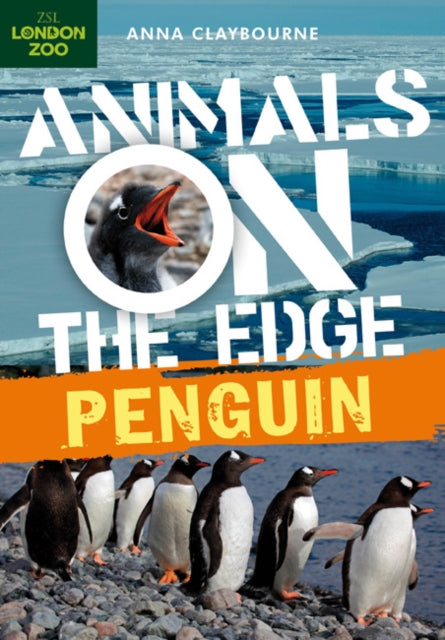 Animals on the Edge: Penguin