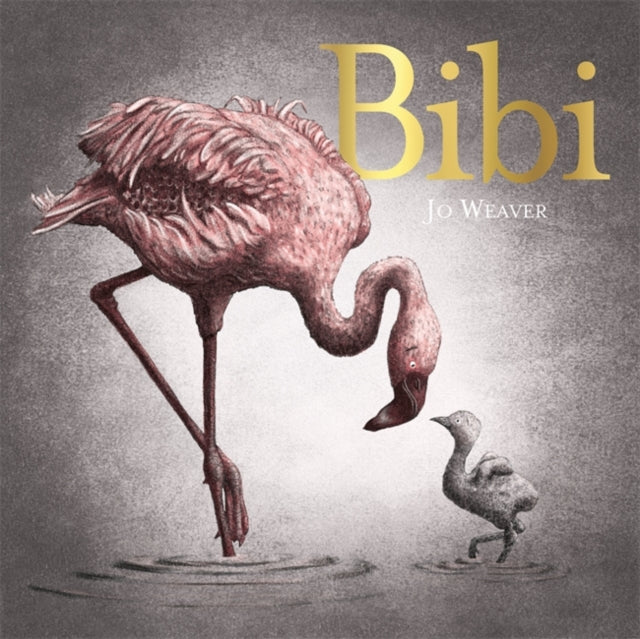 Bibi : A flamingo's tale