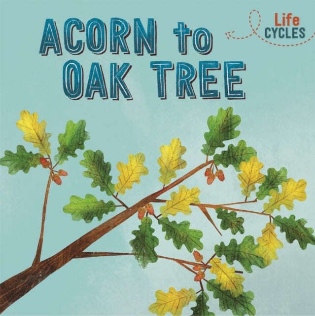 Acorn to Oak