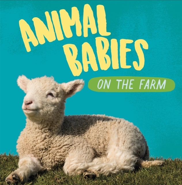 Animal Babies on the Farm