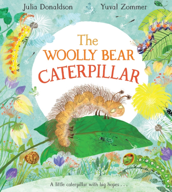 The Wooly Bear Caterpillar