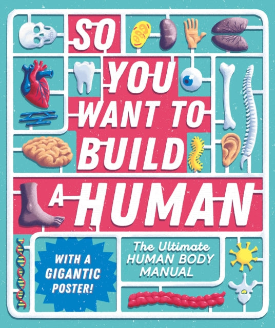 So You Want to Build a Human