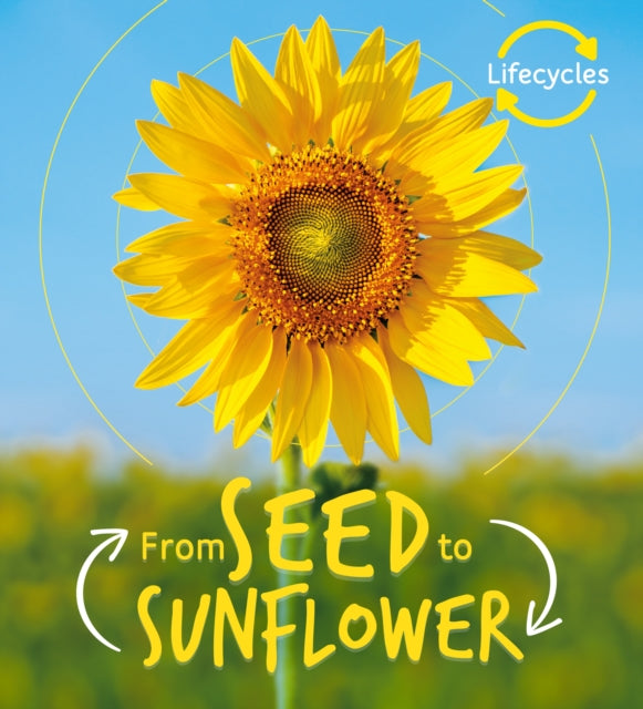 life cycles: Seed to Sunflower