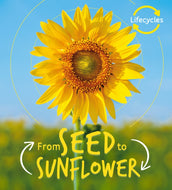 life cycles: Seed to Sunflower