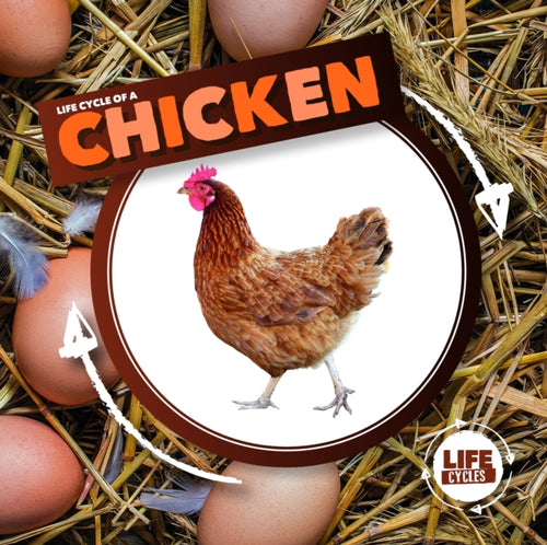 Egg to Chicken: Lifecycle of a Chicken