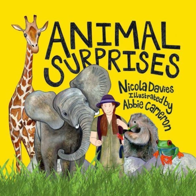 Animal Surprises