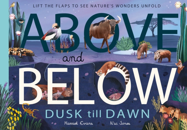 Above and Below: Dusk till Dawn :